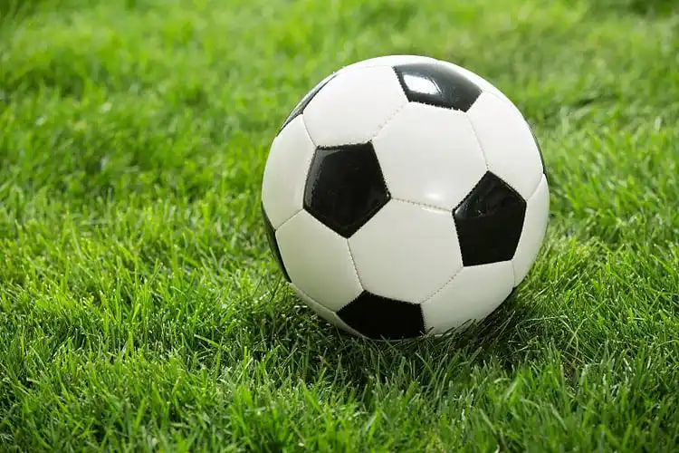 应用主界面展示