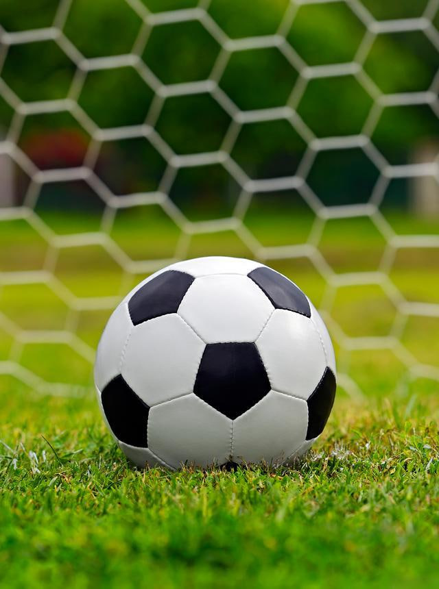 数据分析图表展示